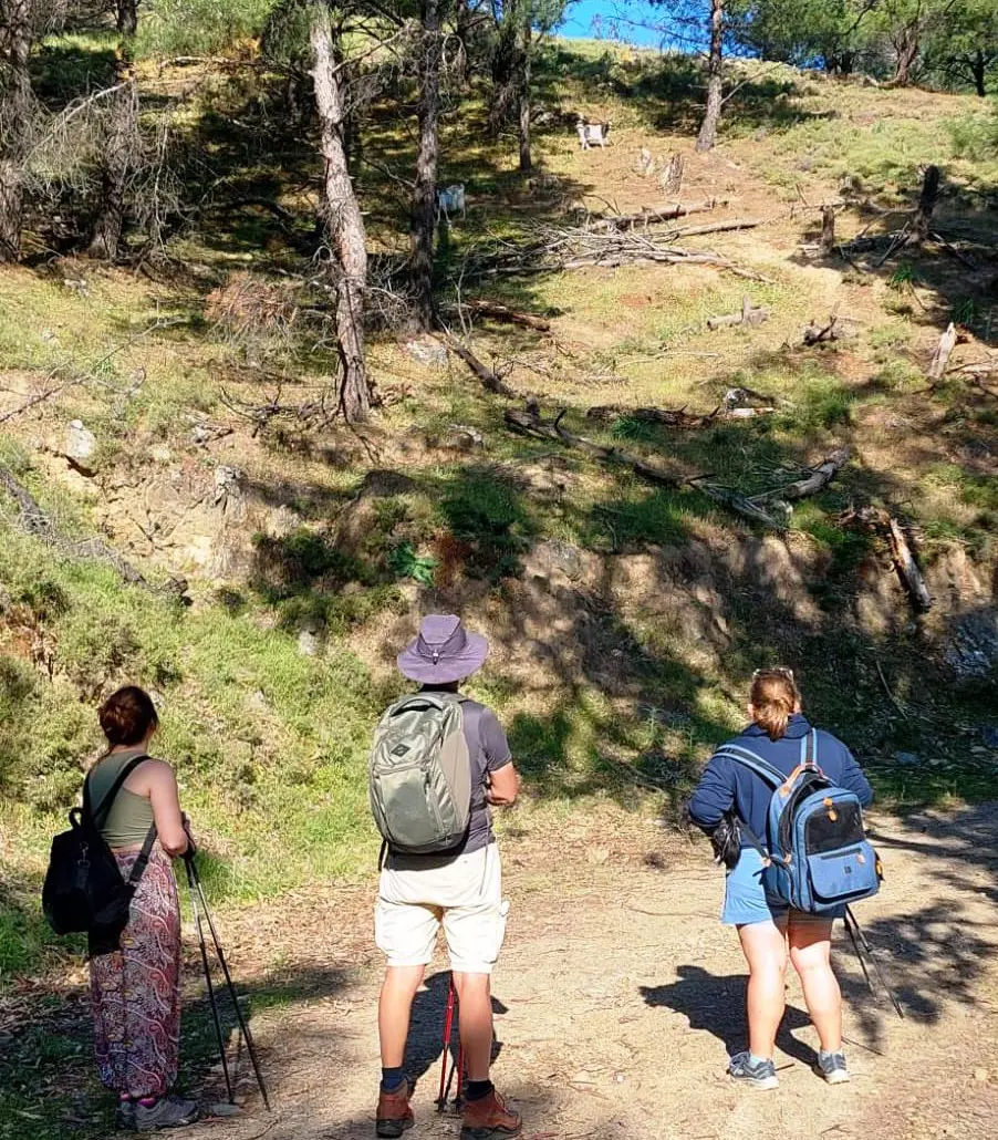 Sun Rise Hiking Trip